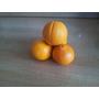 So lassen sich Orangen und Zitronen leichter auspressen
